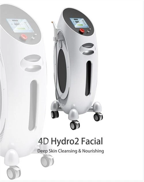 4D Hydro 2 arctisztító és ápoló gép
